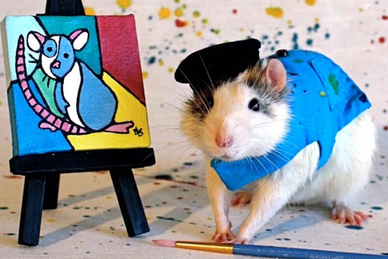 A Treasury of Rattitude: A Decade of "It’s a Rat’s World" Magazine Covers and Candid Moments