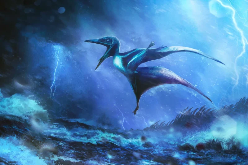 Baby pterosaurs died in ancient storms—and their fossils reveal the truth