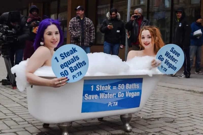 Beyond the Tap How Dietary Choices Shape the Future of Global Water Security on World Water Day