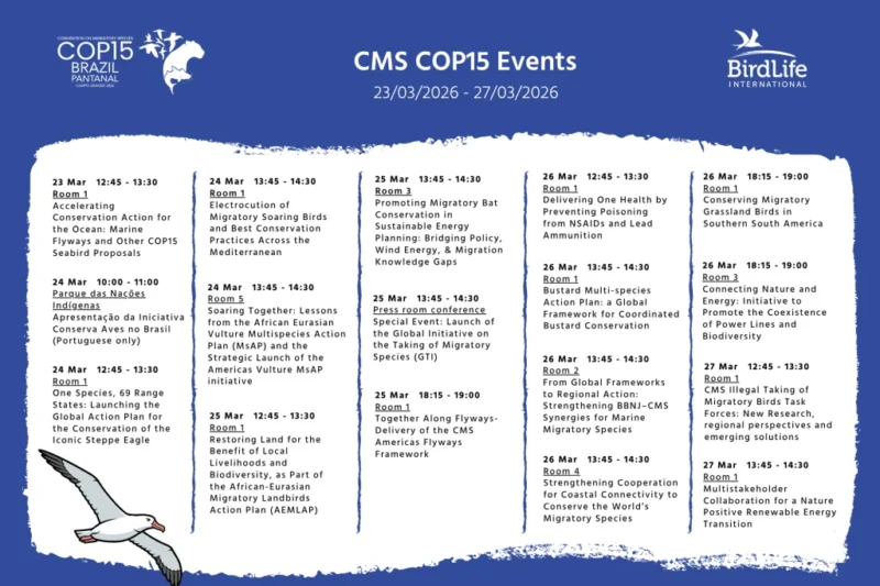 Global Summit in Brazil Tackles Declining Migratory Species Amidst Biodiversity Crisis