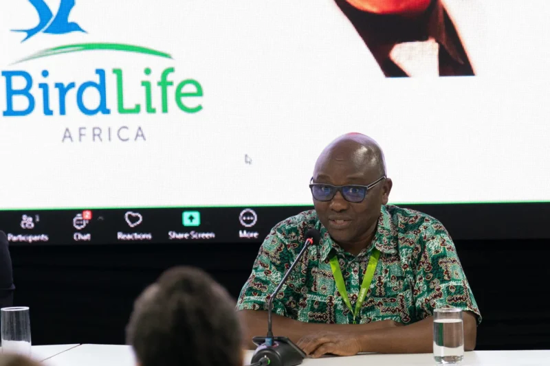 Governments Forge Historic Agreements for Migratory Birds at CMS COP15 in Brazil, Ushering in New Era of Global Conservation