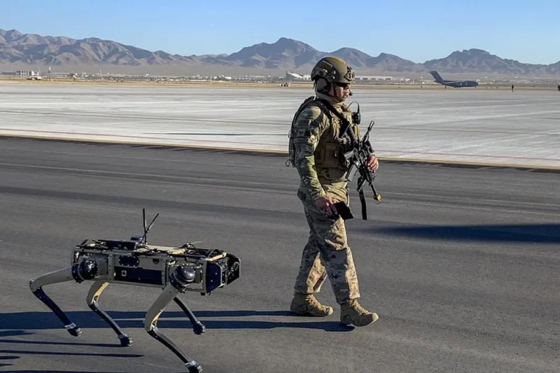 Pentagon Faces Mounting Pressure to Replace Military Working Dogs with Robotics Following Alarming Reports of Neglect and Facility Failures