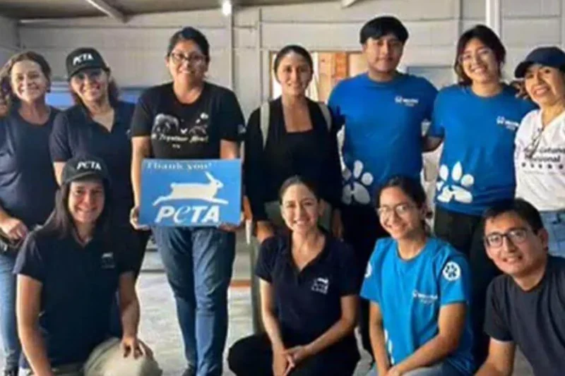 PETA Volunteers Combat Perus Animal Overpopulation Crisis Through Large-Scale Sterilization Initiatives in Lima
