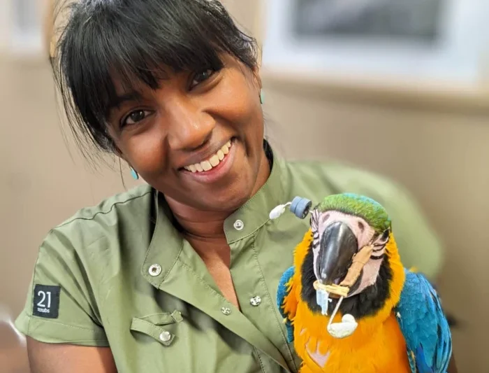 Profile of Dr Jade Kingsley and the Advancements in Avian and Exotic Veterinary Medicine in Australia