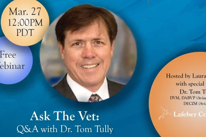 Webinar: Ask The Vet With Tom Tully, DVM, DABVP (Avian Practice), DECZM (Avian)