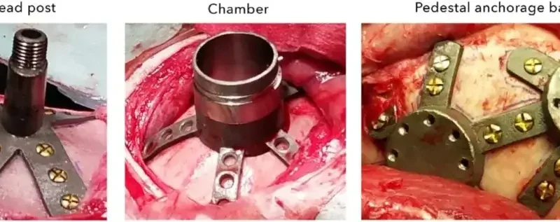 Allegations of Surgical Malpractice and Oversight Failures in University of Minnesota Primate Research