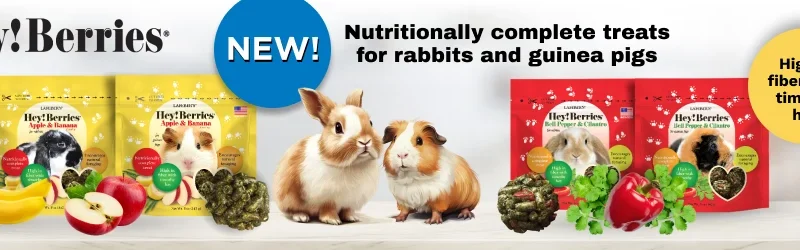 Avian Nutrition Essentials for Veterinary Professionals at Purdue University