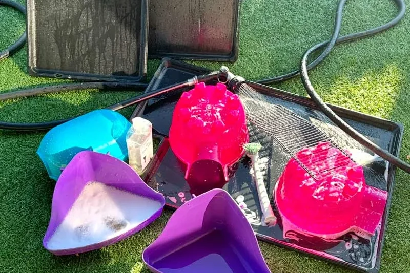 Bringing Home Your New Rats: A Comprehensive Guide for First-Time Owners