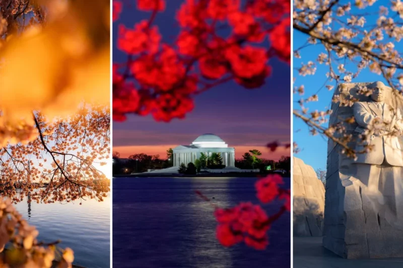 Documenting Seventeen Years of Ephemeral Beauty Through the Lens of Photographer Drew Geraci in Washington DC