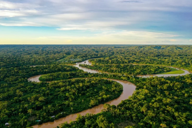 Forest Impact Accelerator Empowers Communities and Ecosystems for Climate Resilience on International Day of Forests