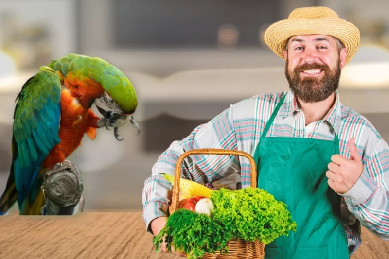 Fostering a Healthy Bond: Eight Essential Strategies for Deeper Avian Companionship