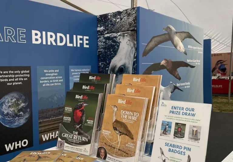 Global Birdfair 2026 to Champion Critically Endangered Birds of São Tomé and Príncipe