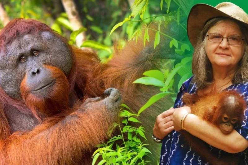 Honoring the Life and Legacy of Dr. Birutė Galdikas A Half Century of Pioneering Orangutan Conservation and Research