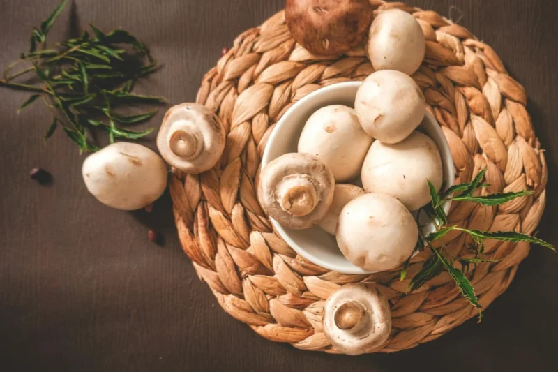 Mushroom Industry Giant The Giorgi Companies Bans All Animal Testing Following Negotiations with PETA