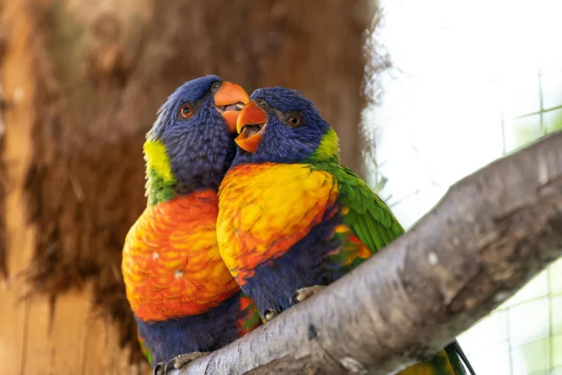 Nature’s Unbelievable Artistry: Ten Birds That Defy Reality