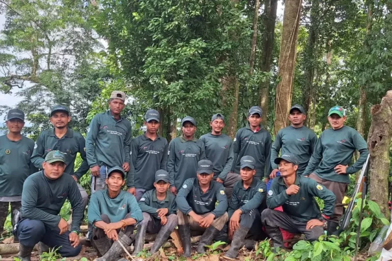 Protecting La Moskitia’s Vibrant Macaws: A Decades-Long Battle Against Poaching and Deforestation