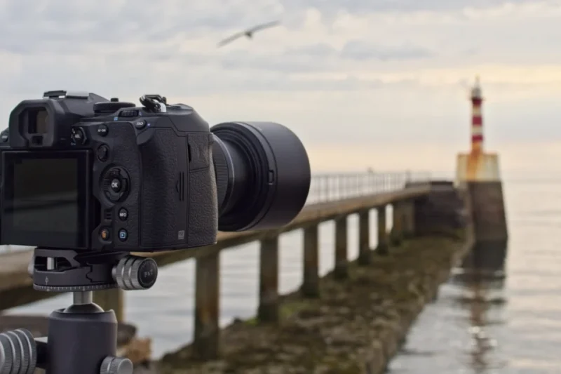 The Blueprint for a Sustainable Professional Photography Business in the Modern Digital Economy