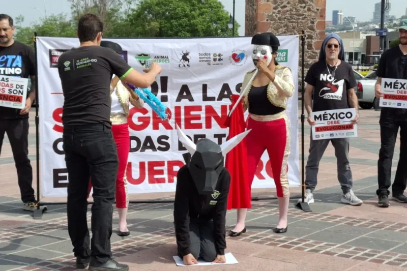 The Systematic Dismantling of Bullfighting in Mexico A Comprehensive Analysis of Legal Ethical and Economic Shifts