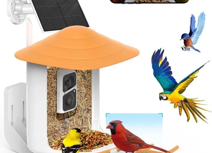 The Ultimate Guide to Smart Bird Feeders with Built-in Cameras for Backyard Enthusiasts