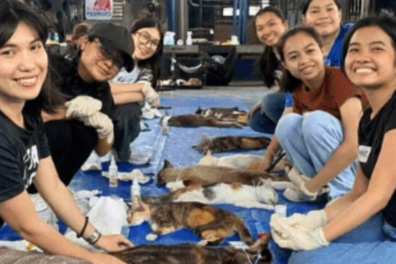Transformation of Philippine Community Spaces into Life-Saving Veterinary Clinics Through PETA-Supported Ampon Alaga Initiative