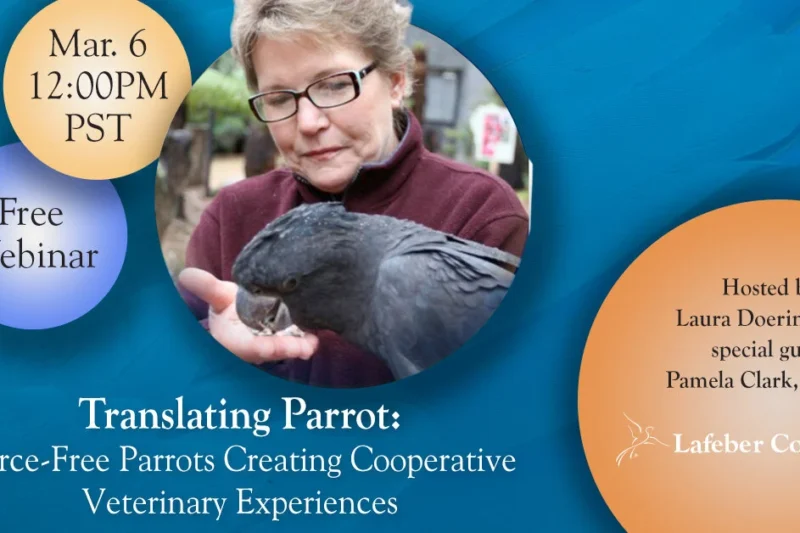 Webinar: Force-Free Parrots: Creating Cooperative Veterinary Experiences