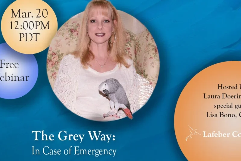 Webinar: The Grey Way – In Case of Emergency