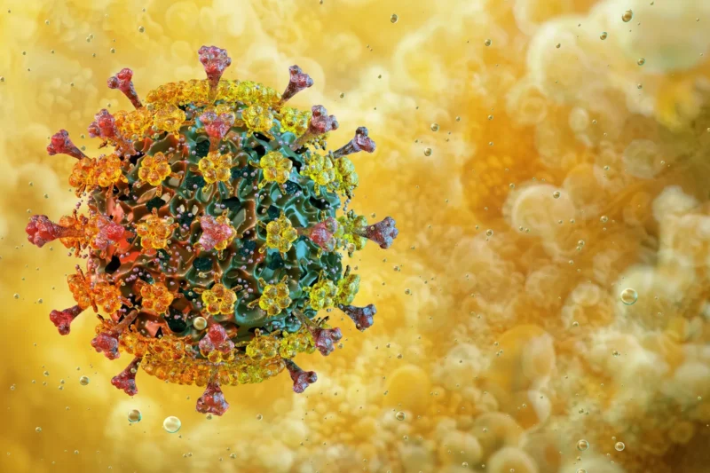 Bird Flu Viruses Thrive at Feverish Temperatures, Challenging Human Defense Mechanisms