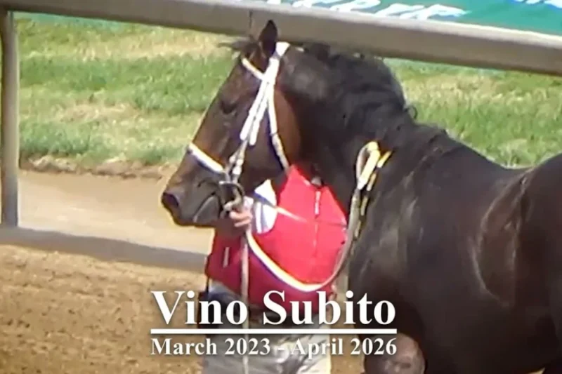Churchill Downs Faces Allegations of Concealing Equine Fatality During High-Profile Kentucky Derby Week