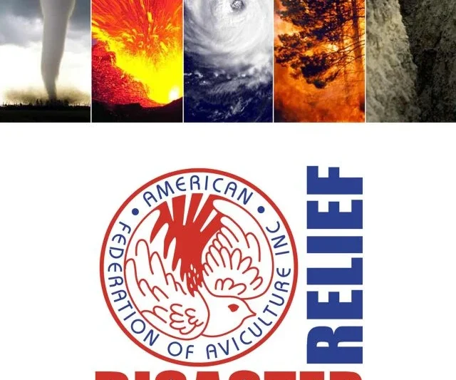 Comprehensive Disaster Preparedness and Emergency Response Strategies for Aviculture: A Guide for Bird Owners and Rescue Teams