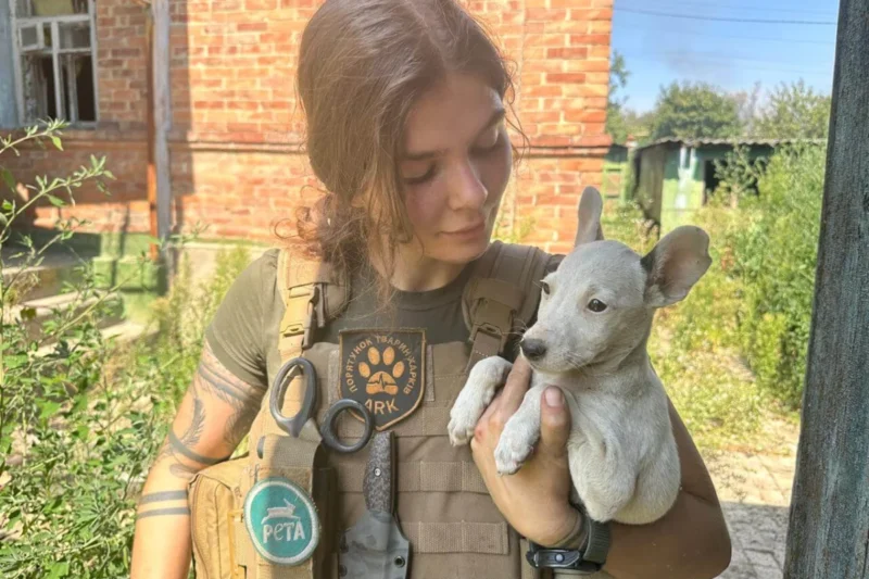 Frontline Compassion The Evolving Challenges of Animal Rescue Operations in the Ukraine Conflict Zone