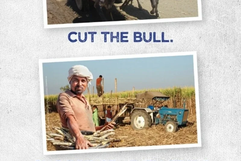PETA Intensifies Campaign Against PepsiCo Over Alleged Animal Cruelty in Indian Sugar Supply Chain Following Shareholder Vote and Activist Arrests