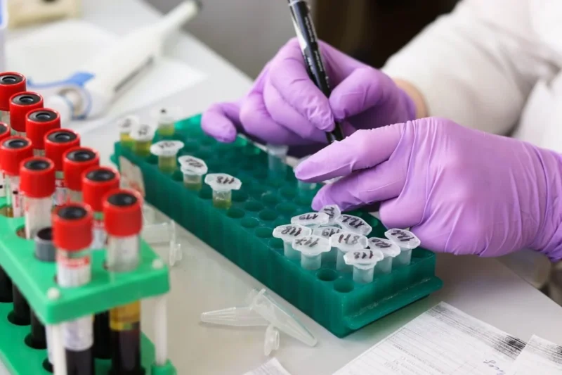 PETA Scientists Awarded NIH Replication Prize for Pioneering Animal-Free Antibody Research and Advancing Scientific Reliability