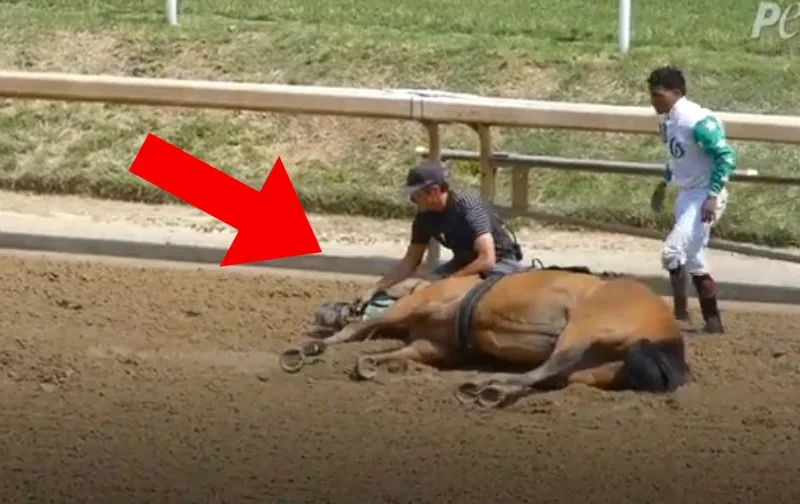 The Dark Side of the Track High Mortality Rates and Safety Concerns at Churchill Downs Ahead of the Kentucky Derby