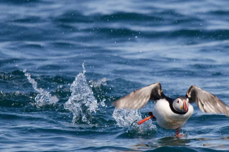 The Megapixel Myth: Why Higher Resolution Does Not Always Mean Better Photography and Printing