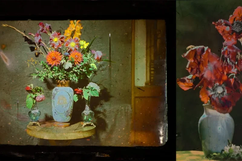 The Science of Structural Color: Exploring the Lippmann Process and the Quest for Real Photography