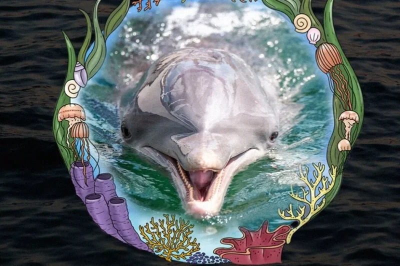 Tragic Death of Juvenile Dolphin Zoe at Key Largo Facility Ignites Calls for Seaside Sanctuaries and Industry Oversight
