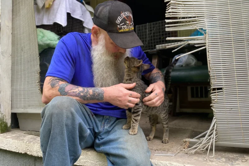 PETA Community Animal Project Rescues Sickly Kittens From Rural Virginia Property Amid Regional Overpopulation Crisis