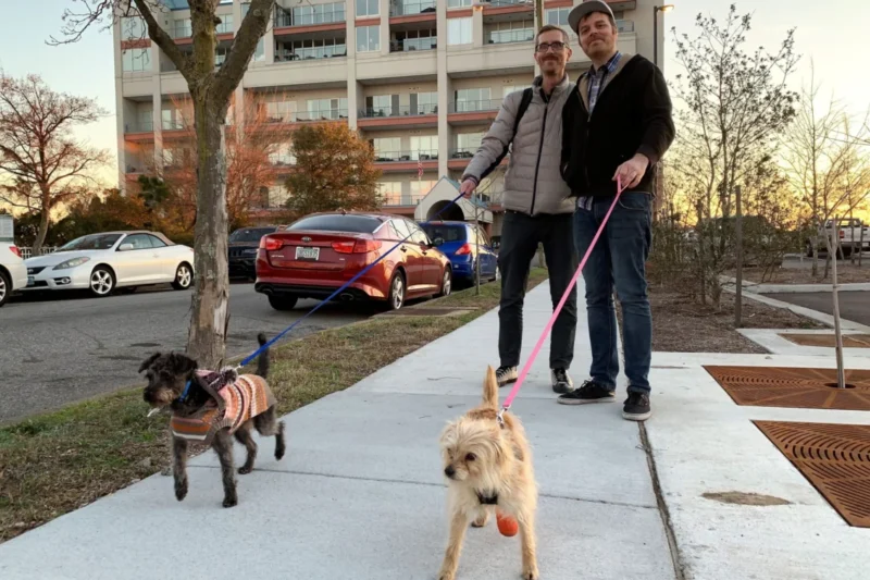 PETA Survey Reveals Critical Gap in Canine Care as Majority of US Dog Guardians Fail to Meet Basic Walking Needs