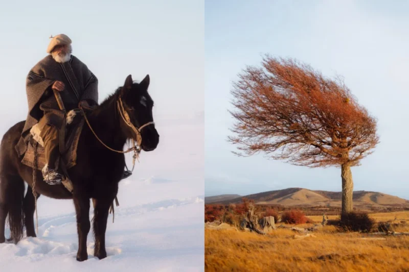 Pie Aerts Documents the Vanishing Lives of Chilean Puesteros in New Monograph Coirón