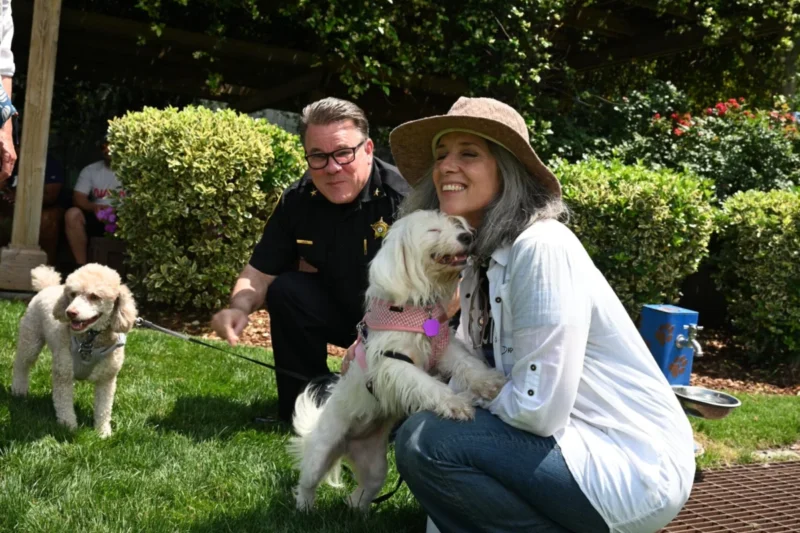 Poochella 2026 Brings Communities Together to Combat Animal Homelessness Through Local Adoption and Advocacy