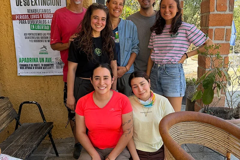 The Resilient Flight: Txori Foundation’s Ambitious Plan to Restore Military Macaws to Western Mexico’s Skies