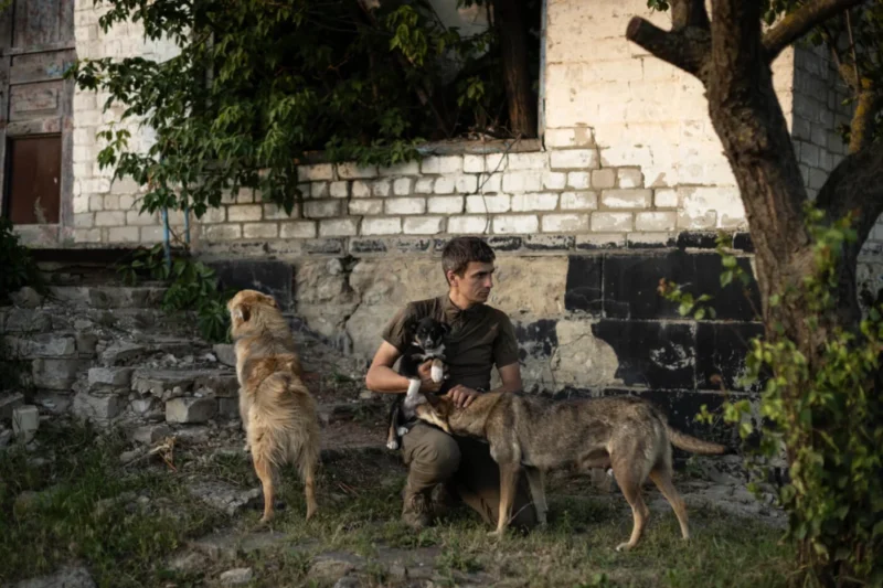 The Silent Victims of Conflict Animal Rescue Operations Reach Milestone in War-Torn Ukraine