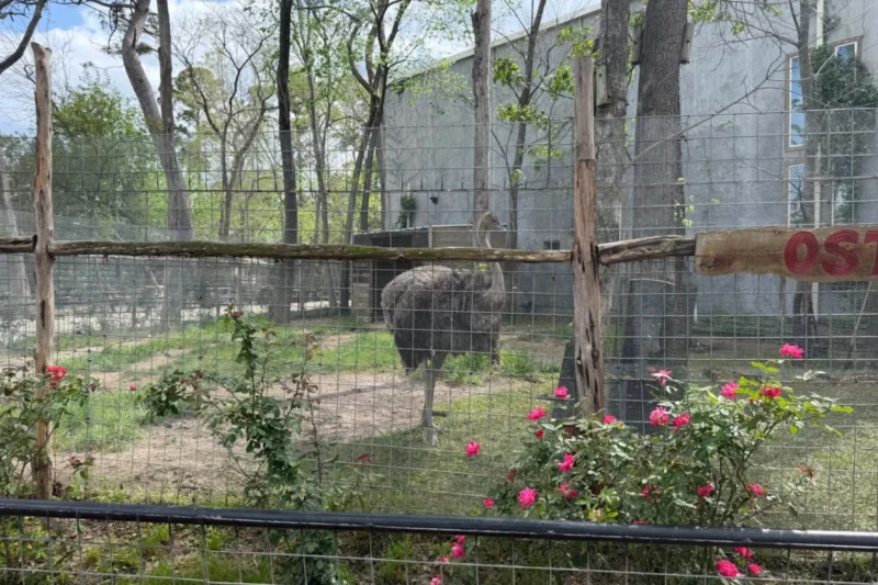 USDA Inspection Report Details Severe Animal Welfare Violations and Systemic Neglect at Houston Interactive Aquarium and Animal Preserve