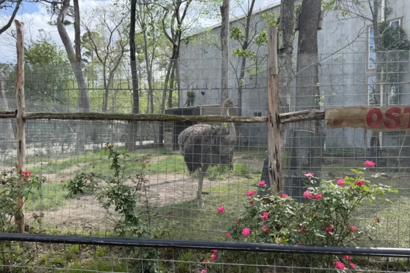 USDA Inspection Report Reveals Damning Evidence of Animal Neglect at Houston Interactive Aquarium & Animal Preserve
