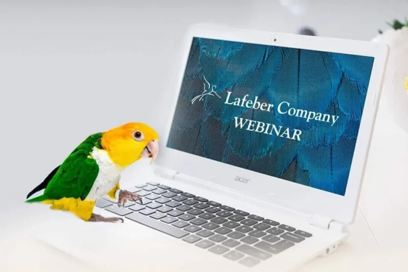 Webinar: Avian e-Collars & Restraint Devices With Dr. Pilny