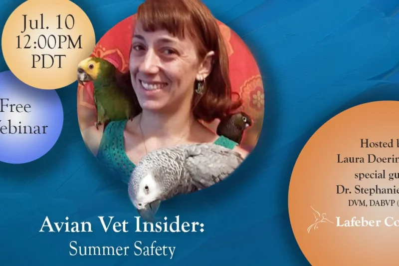 Avian Vet Insider – Summer Safety Webinar to Address Critical Pet Bird Care on July 10, 2026