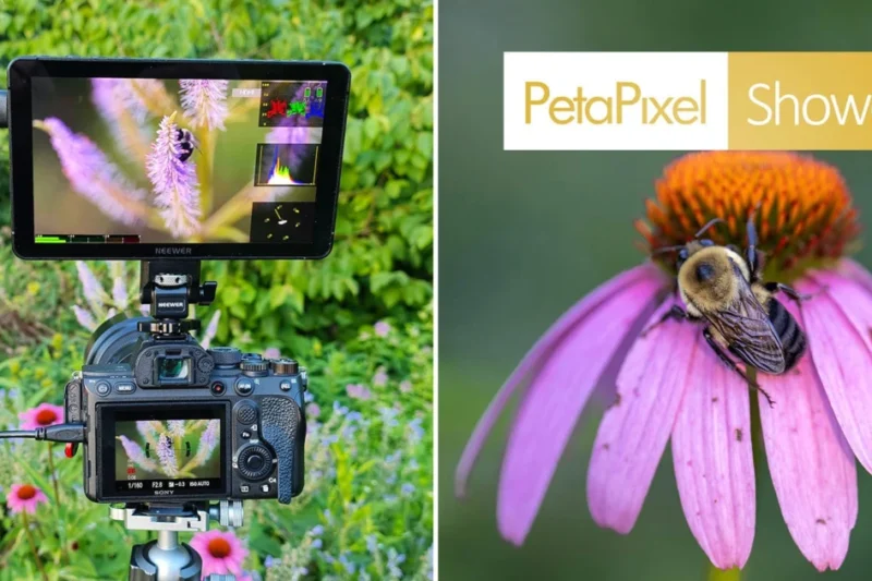 Neewer F700U OLED Field Monitor Review: Bridging the Gap Between Professional Videography and Precision Photography