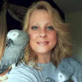 Webinar: Inside Phoenix Landing Retreat with Lisa Bono