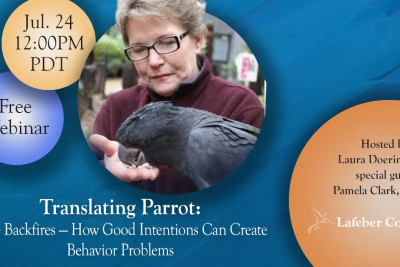 Webinar: When Love Backfires – How Good Intentions Can Create Behavior Problems