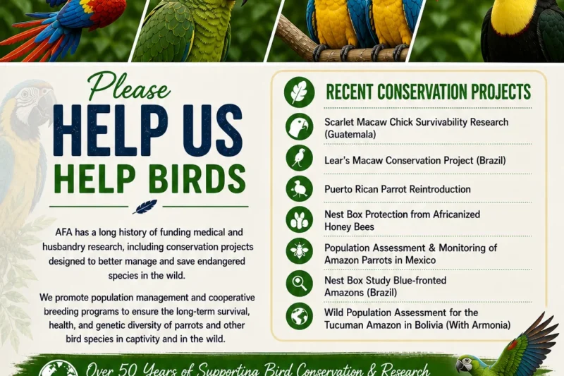 American Federation of Aviculture Advances Global Avian Conservation and Regulatory Frameworks through Strategic Partnerships